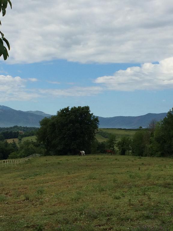 Tenuta Di Vico Moricino Anagni Zimmer foto